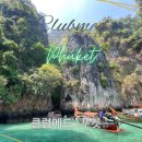 마야메드 이미지