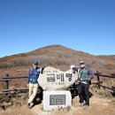 곰배령스케치 이미지