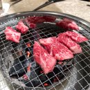 KMF HALAL