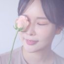 소담꽃 이미지