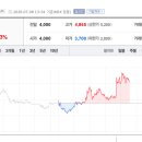 신안D&P