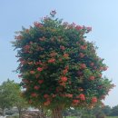 대흥부동산공인중개사사무소 이미지