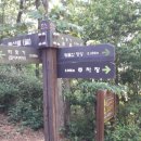 코끼리칼국수 이미지