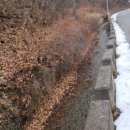 묵호초등학교 이미지