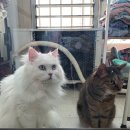 신촌역 개방화장실 이미지