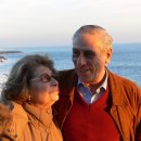 명품태양광발전소 이미지