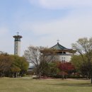 가항국제