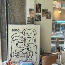 부티크멍 애견미용실 이미지