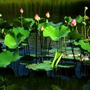 달빛호수 이미지