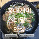 아이스타특전태권도장 | 안성스타필드 맛집 홍대개미 스타필드 안성 잇토피아 내돈내산 후기