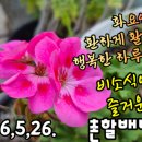 노년의 삶은 신선해야 이미지