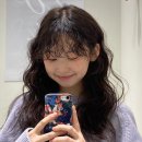 고태영 카카오 검색결과