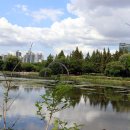 일산호수공원 이미지