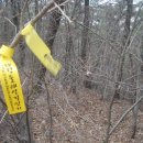 대전둘레산길 이미지