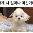 삼척해장국 이미지