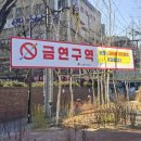 자작나무쉼터 이미지