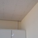 부산강서고등학교 이미지