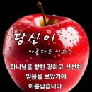 샬롬 - 순천시 | 샬롬