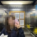 아이폰16 케이스티파이 리플케이스 프림로즈 후기(착샷있음)