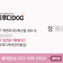 트루디독 이미지