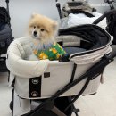 원미구 도약로 239 이미지