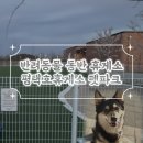 펫코스 | 애견동반 장거리여행 필수 코스 평택호 휴게소 펫파크 위치부터 솔직후기까지