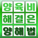 66일 습관의 기적 이미지