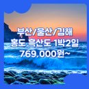 명산차민박 | 홍도 여행 패키지 / 부산_홍도_1박2일 #흑산도
