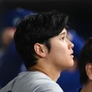 (유)스카이월드투어 이미지