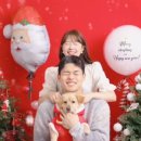 페일리스튜디오 이미지