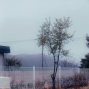 안 스테이 펜션 네이버블로그