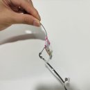 연성안경 이미지