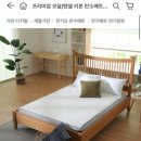 5단지세탁 | 세탁 가능한 전기요 추천 일월 카본매트 퀸사이즈 한달리뷰 솔직후기