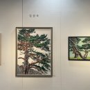 소나무디자인 이미지