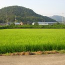 진숙농장 이미지