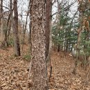 종철농장 이미지