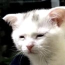 11545-04-11-20 | W 04.광주 웨딩 메이크업샵 (광주 더뮤x) 불만족 솔직 후기 / 광주 그리x 웨딩 촬영 셀렉◡̈⋆*📸