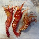 만금 | 울릉도 독도새우 맛집 직판장 오징어회타운 만금물산