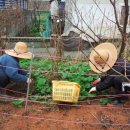 이안농장 이미지