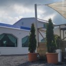 애월토리니 이미지