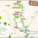 비고리조트 12 이미지