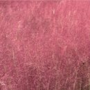 동해찜식당 이미지