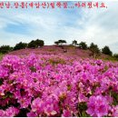 철 학 로 이미지