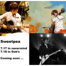 N.M Concert 7월 17일 델리스파이스김민규(Sweetpea) 예매 실시- 이미지