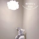 스테이어스(STAYUS) 이미지