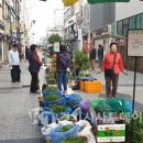 여주한글시장(여주중앙로상점가) 이미지