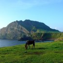 눈 살 때의 일 / 김병심 ​[제7회 제주4·3평화문학상 시 부문 당선작] 이미지