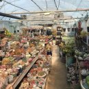 삼남매한우농장 이미지