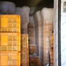 온평모다들엉(주) 이미지