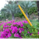 선소공원 이미지